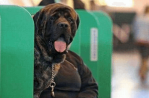 14 Sites with Funny Pictures to Make You LOL