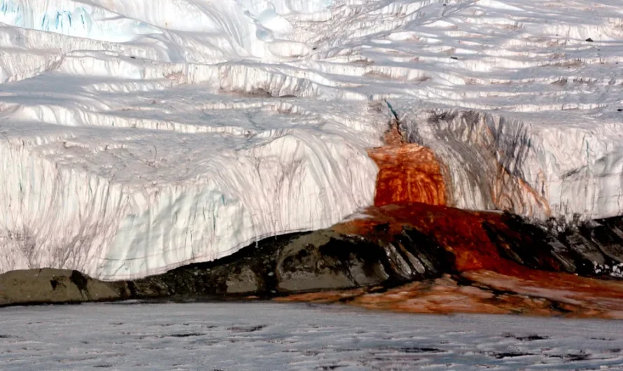 On the southern edge of the world, a waterfall runs red as blood